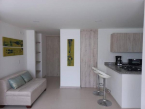 Espectacular apartamento 1 cuarto ubicación top y central, Manizales